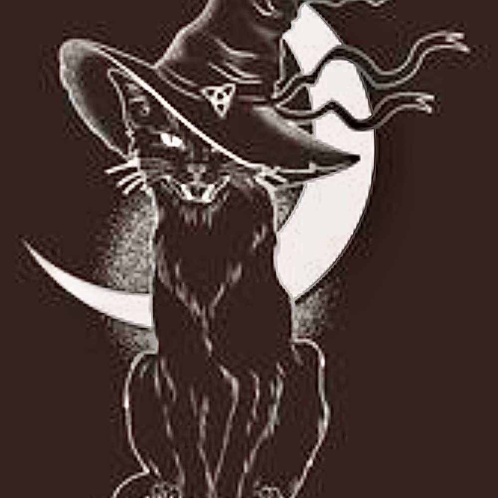 Meet your Posher, Annette